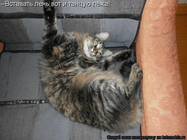 --Вставать лень,вот и танцую лёжа!... Котоматрица: --Вставать лень,вот и танцую лёжа!
