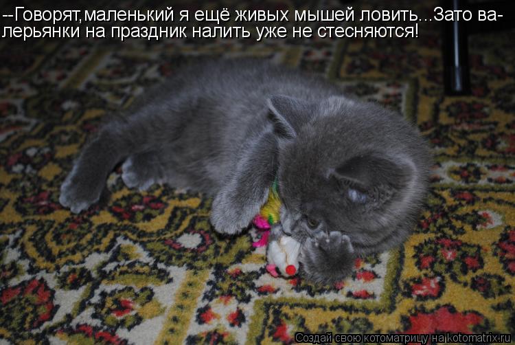 --Говорят,маленький я ещё живых мышей ловить...Зато ва- лерьянки на праздник налить уже не стесняются... Котоматрица: --Говорят,маленький я ещё живых мышей ловить...Зато ва- лерьянки на праздник налить уже не стесняются!