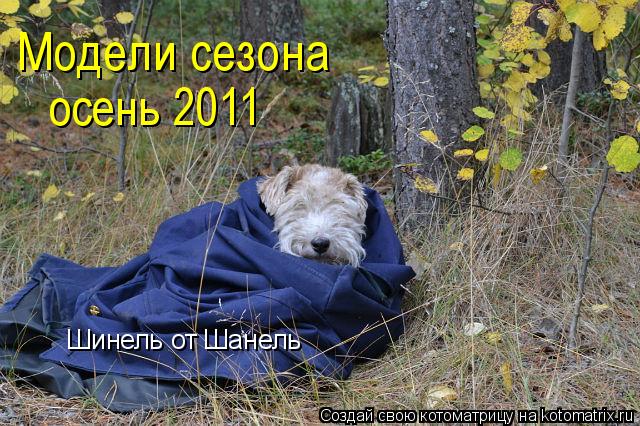 Шинель от Шанель Модели сезона осень 2011... Котоматрица: Шинель от Шанель Модели сезона осень 2011