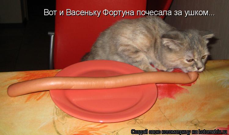Вот и Васеньку Фортуна почесала за ушком...... Котоматрица: Вот и Васеньку Фортуна почесала за ушком...