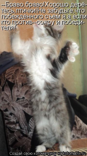 --Браво,браво!Хорошо дерё- тесь,птички!Не забудьте,что побеждённого съем я,а если кто против--сожру и... Котоматрица: --Браво,браво!Хорошо дерё- тесь,птички!Не забудьте,что побеждённого съем я,а если кто против--сожру и победи- теля!