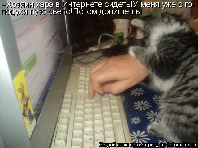 --Хозяин,харэ в Интернете сидеть!У меня уже с го- лодухи пузо свело!Потом допишешь!... Котоматрица: --Хозяин,харэ в Интернете сидеть!У меня уже с го- лодухи пузо свело!Потом допишешь!