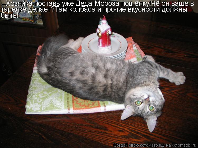 --Хозяйка,поставь уже Деда-Мороза под ёлку!Чё он ваще в тарелке делает?Там колбаса и прочие вкусности... Котоматрица: --Хозяйка,поставь уже Деда-Мороза под ёлку!Чё он ваще в тарелке делает?Там колбаса и прочие вкусности должны быть!