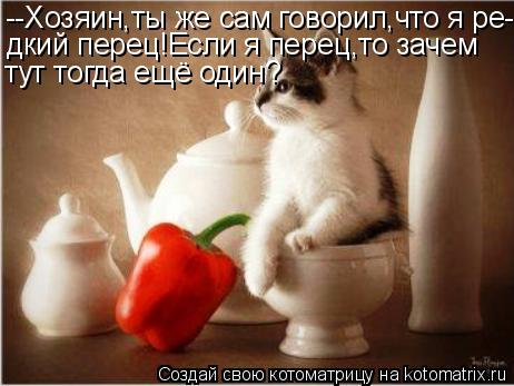 --Хозяин,ты же сам говорил,что я ре- дкий перец!Если я перец,то зачем тут тогда ещё один?... Котоматрица: --Хозяин,ты же сам говорил,что я ре- дкий перец!Если я перец,то зачем тут тогда ещё один?