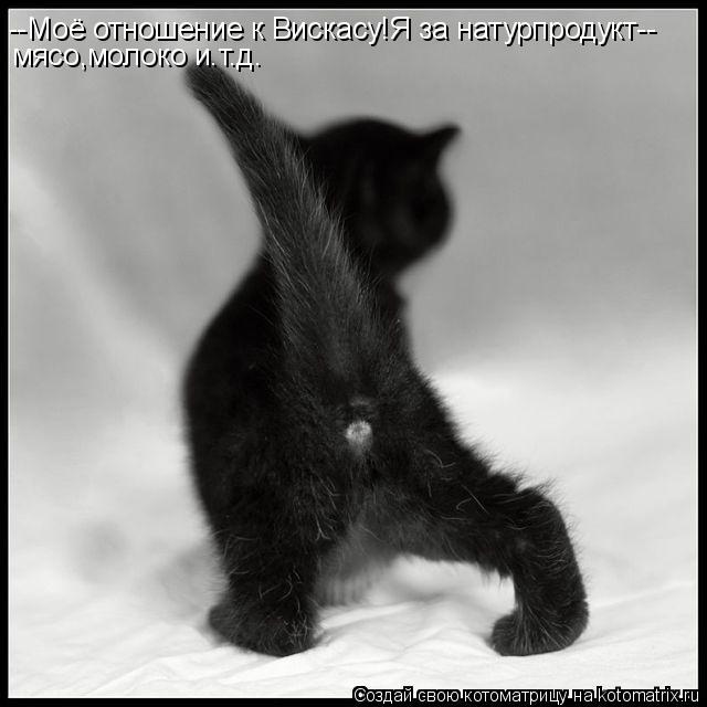 --Моё отношение к Вискасу!Я за натурпродукт-- мясо,молоко и.т.д.... Котоматрица: --Моё отношение к Вискасу!Я за натурпродукт-- мясо,молоко и.т.д.