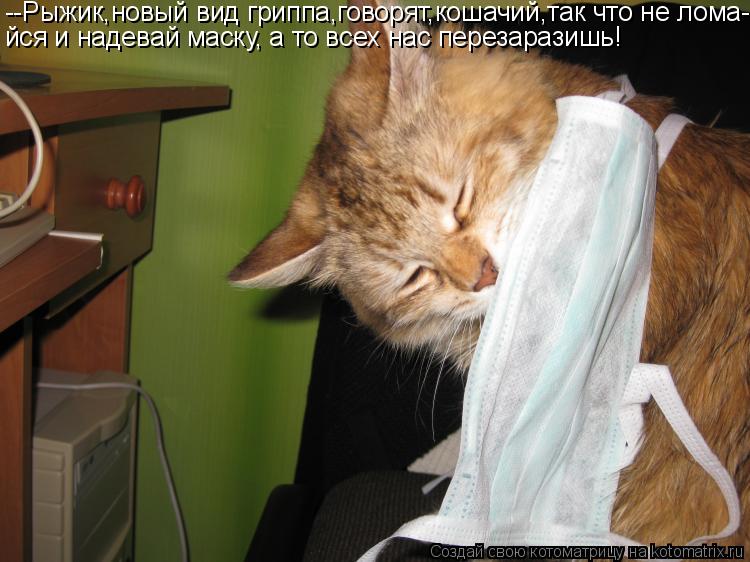--Рыжик,новый вид гриппа,говорят,кошачий,так что не лома- йся и надевай маску, а то всех нас перезара... Котоматрица: --Рыжик,новый вид гриппа,говорят,кошачий,так что не лома- йся и надевай маску, а то всех нас перезаразишь!