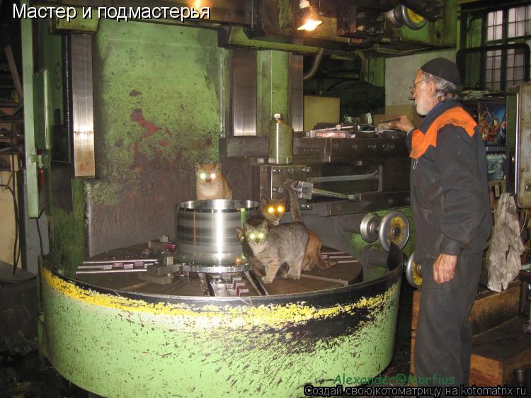 Мастер и подмастерья... Котоматрица: Мастер и подмастерья