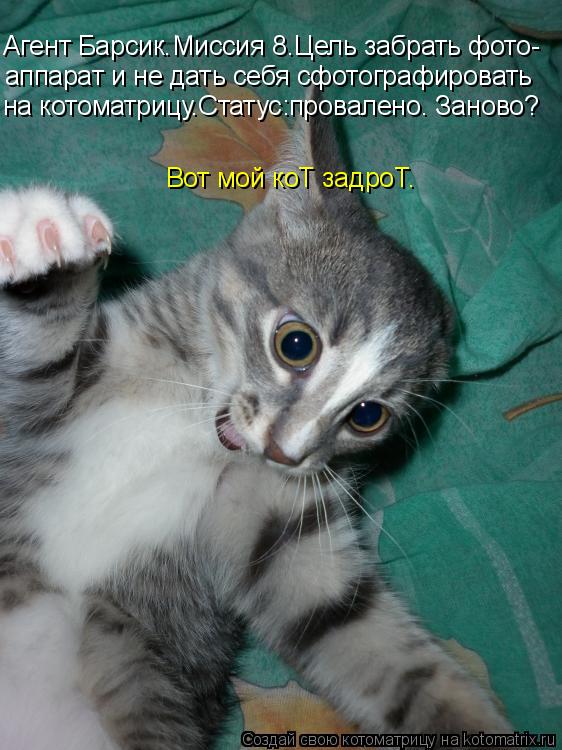 Агент Барсик.Миссия 8.Цель забрать фото- аппарат и не дать себя сфотографировать на котоматрицу.Стат... Котоматрица: Агент Барсик.Миссия 8.Цель забрать фото- аппарат и не дать себя сфотографировать на котоматрицу.Статус:провалено. Заново? Вот мой коТ задро