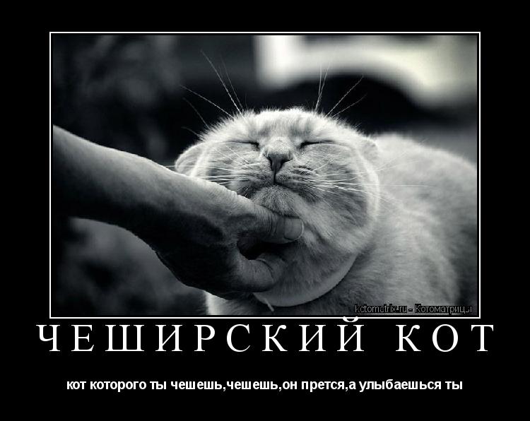 Чеширский кот кот которого ты чешешь,чешешь,он прется,а улыбаешься ты... Котоматрица: Чеширский кот кот которого ты чешешь,чешешь,он прется,а улыбаешься ты