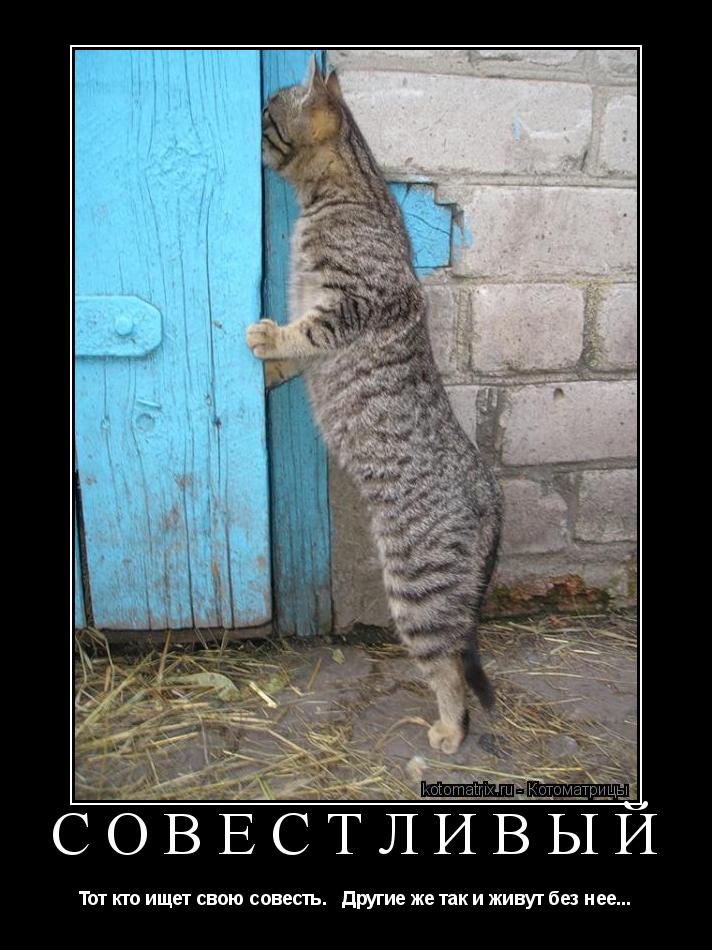 Совестливый Тот кто ищет свою совесть. Другие же так и живут без нее...... Котоматрица: Совестливый Тот кто ищет свою совесть. Другие же так и живут без нее...