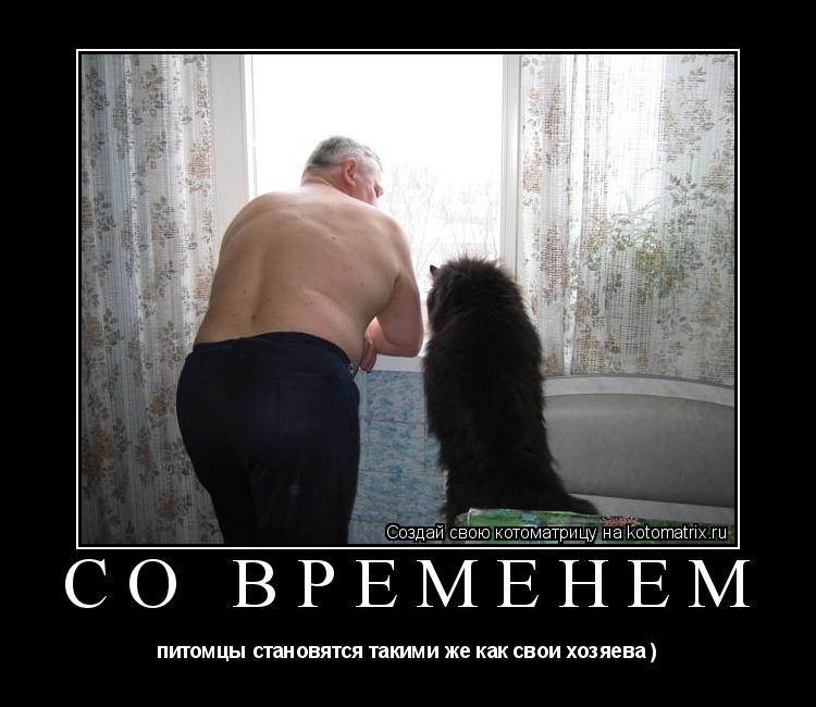 со временем питомцы становятся такими же как свои хозяева )... Котоматрица: со временем питомцы становятся такими же как свои хозяева )