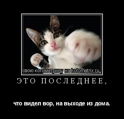 Это последнее, что видел вор, на выходе из дома.... Котоматрица: Это последнее, что видел вор, на выходе из дома.