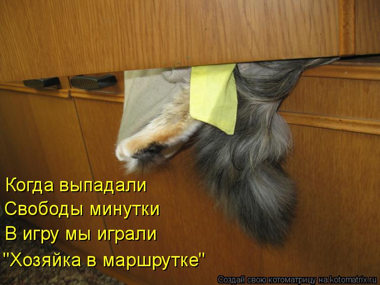 Когда выпадали Свободы минутки В игру мы играли "Хозяйка в маршрутке"... Котоматрица: Когда выпадали Свободы минутки В игру мы играли "Хозяйка в маршрутке"
