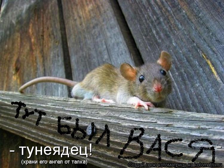 - тунеядец! - (храни его ангел от тапка)... Котоматрица: - тунеядец! - (храни его ангел от тапка)