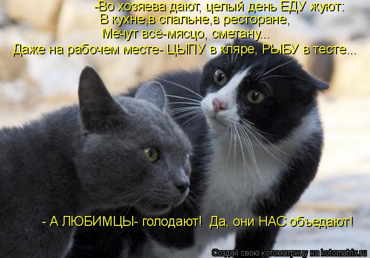 В кухне,в спальне,в ресторане, Мечут всё-мясцо, сметану... Даже на рабочем месте- ЦЫПУ в кляре, РЫБУ ... Котоматрица: В кухне,в спальне,в ресторане, Мечут всё-мясцо, сметану... Даже на рабочем месте- ЦЫПУ в кляре, РЫБУ в тесте... - А ЛЮБИМЦЫ- голодают! Да, они НАС