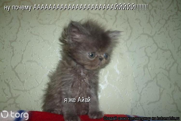 ну почему АААААААААААААААААААААЙЙЙЙЙ!!!!!!!! я же Айай я же Айай... Котоматрица: ну почему АААААААААААААААААААААЙЙЙЙЙ!!!!!!!! я же Айай я же Айай