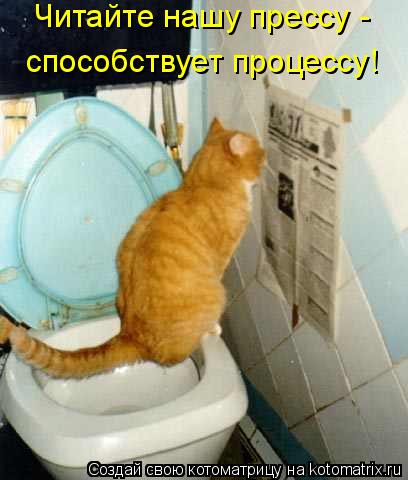 Читайте нашу прессу - способствует процессу!... Котоматрица: Читайте нашу прессу - способствует процессу!