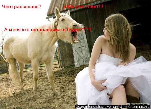 Чего расселась? Изба уже тлеет!!! А меня кто останавливать будет????... Котоматрица: Чего расселась? Изба уже тлеет!!! А меня кто останавливать будет????