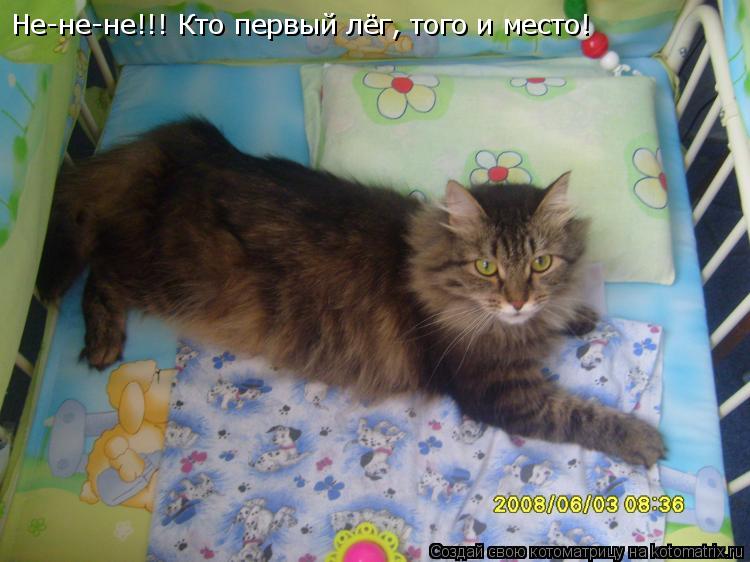 Не-не-не!!! Кто первый лёг, того и место!... Котоматрица: Не-не-не!!! Кто первый лёг, того и место!