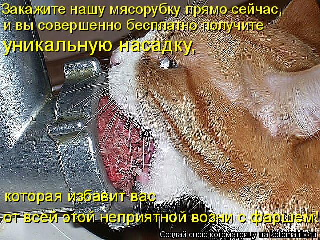 Закажите нашу мясорубку прямо сейчас, и вы совершенно бесплатно получите уникальную насадку, которая... Котоматрица: Закажите нашу мясорубку прямо сейчас, и вы совершенно бесплатно получите уникальную насадку, которая избавит вас от всей этой неприятной