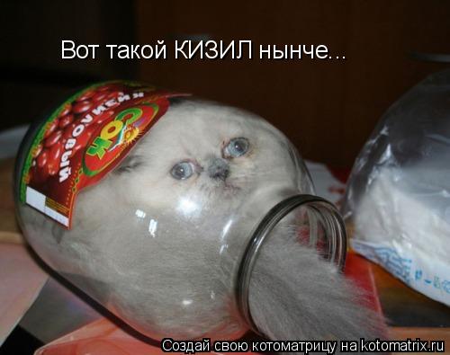 Вот такой КИЗИЛ нынче...... Котоматрица: Вот такой КИЗИЛ нынче...