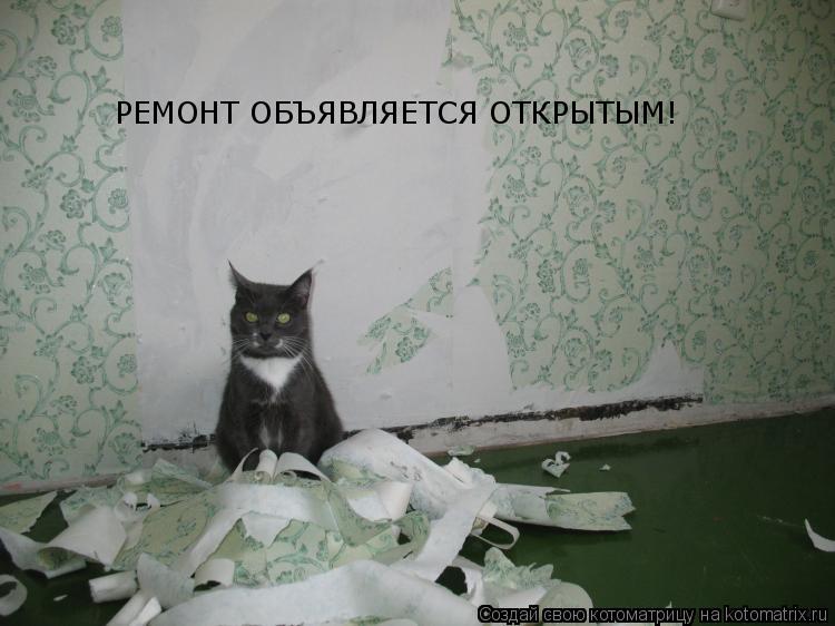 РЕМОНТ ОБЪЯВЛЯЕТСЯ ОТКРЫТЫМ!... Котоматрица: РЕМОНТ ОБЪЯВЛЯЕТСЯ ОТКРЫТЫМ!