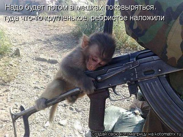 Надо будет потом в мешках поковыряться туда что-то кругленькое, ребристое наложили ,... Котоматрица: Надо будет потом в мешках поковыряться туда что-то кругленькое, ребристое наложили ,