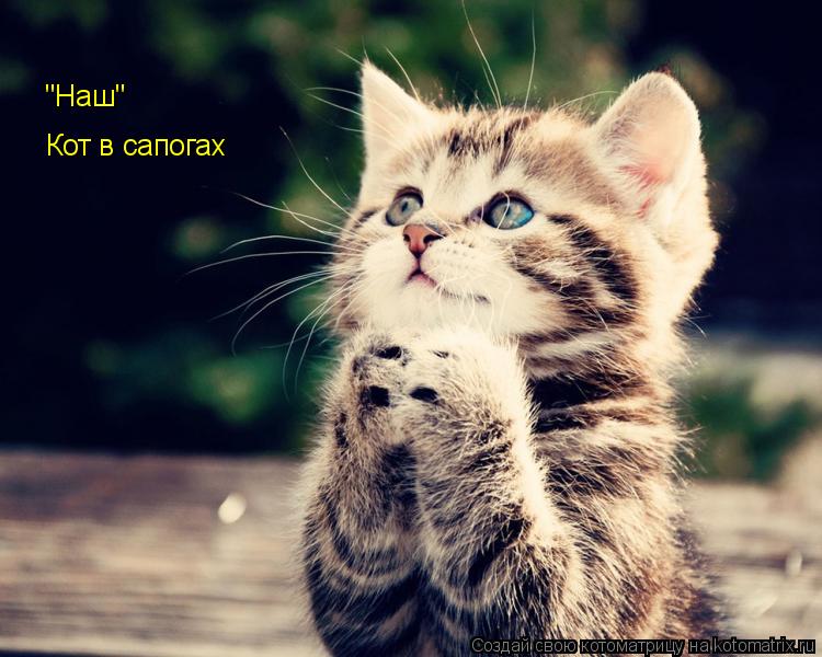 Кот в сапогах "Наш"... Котоматрица: Кот в сапогах "Наш"