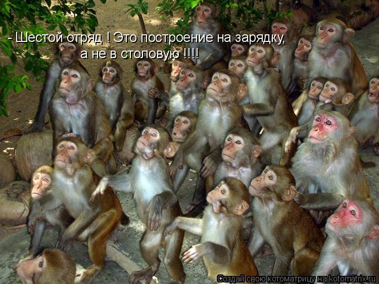 - Шестой отряд ! Это построение на зарядку, а не в столовую !!!!... Котоматрица: - Шестой отряд ! Это построение на зарядку, а не в столовую !!!!