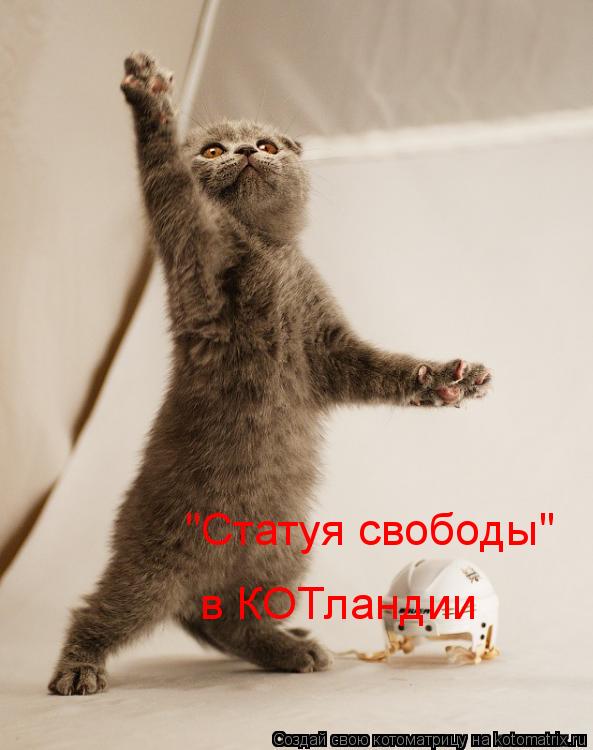 "Статуя свободы" в КОТландии... Котоматрица: "Статуя свободы" в КОТландии