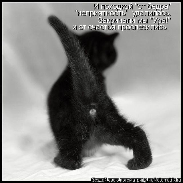 И походкой "от бедра" "неприятность" удалилась. Закричали мы "Ура!" и от счастья прослезились.... Котоматрица: И походкой "от бедра" "неприятность" удалилась. Закричали мы "Ура!" и от счастья прослезились.