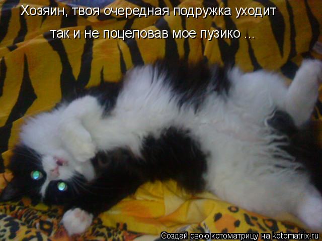 Хозяин, твоя очередная подружка уходит так и не поцеловав мое пузико ...... Котоматрица: Хозяин, твоя очередная подружка уходит так и не поцеловав мое пузико ...