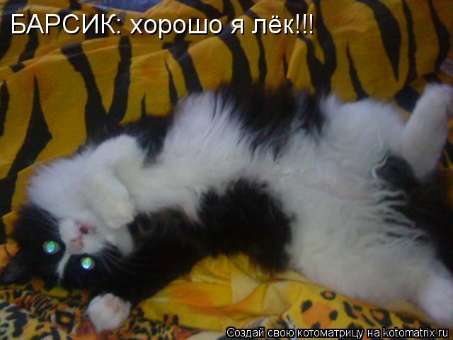 БАРСИК; БАРСИК: хорошо я лёг БАРСИК: хорошо я лёг БАРСИК: хорошо я лёк\ БАРСИК: хорошо я лёк!!!... Котоматрица: БАРСИК; БАРСИК: хорошо я лёг БАРСИК: хорошо я лёг БАРСИК: хорошо я лёк\ БАРСИК: хорошо я лёк!!!