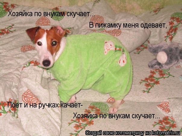 Хозяйка по внукам скучает... В пижамку меня одевает, Поет и на ручках качает- Хозяйка по внукам скуча... Котоматрица: Хозяйка по внукам скучает... В пижамку меня одевает, Поет и на ручках качает- Хозяйка по внукам скучает...