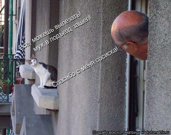 Всё, можешь вылезать! муж в подъезд зашел! Спасибо с меня сосиска!... Котоматрица: Всё, можешь вылезать! муж в подъезд зашел! Спасибо с меня сосиска!