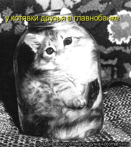 у котявки друзья в главнобанке... Котоматрица: у котявки друзья в главнобанке
