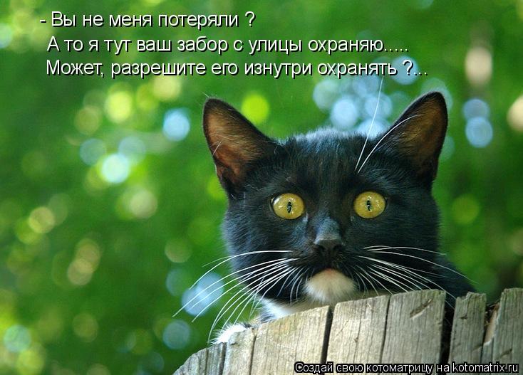 - Вы не меня потеряли ? А то я тут ваш забор с улицы охраняю..... Может, разрешите его изнутри охраня... Котоматрица: - Вы не меня потеряли ? А то я тут ваш забор с улицы охраняю..... Может, разрешите его изнутри охранять ?...