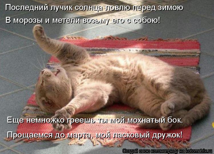 Котоматрица: Последний лучик солнца ловлю перед зимою В морозы и метели возьму его с собою! Прощаемся до марта, мой ласковый дружок! Еще немножко греешь 