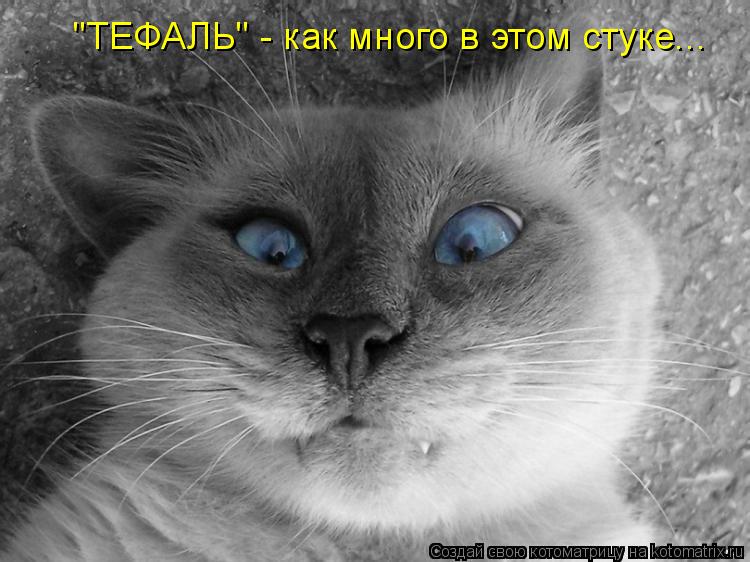 "ТЕФАЛЬ" - как много в этом стуке...... Котоматрица: "ТЕФАЛЬ" - как много в этом стуке...