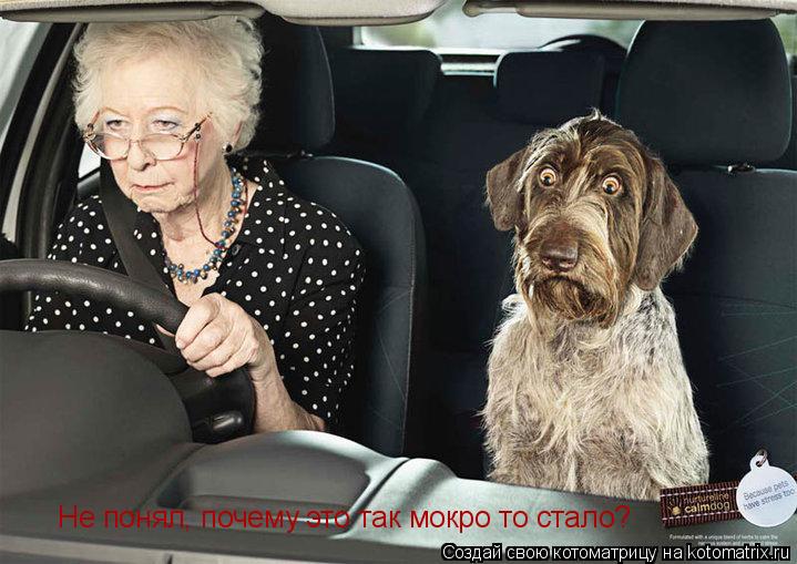 Котоматрица: Не понял, почему это так мокро то стало?