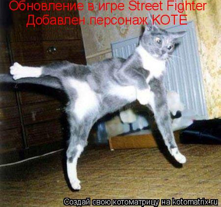 Обновление в игре Street Fighter Добавлен персонаж KOTE... Котоматрица: Обновление в игре Street Fighter Добавлен персонаж KOTE