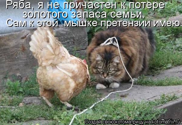 Ряба, я не причастен к потере золотого запаса семьи. Сам к этой мышке претензии имею.... Котоматрица: Ряба, я не причастен к потере золотого запаса семьи. Сам к этой мышке претензии имею.