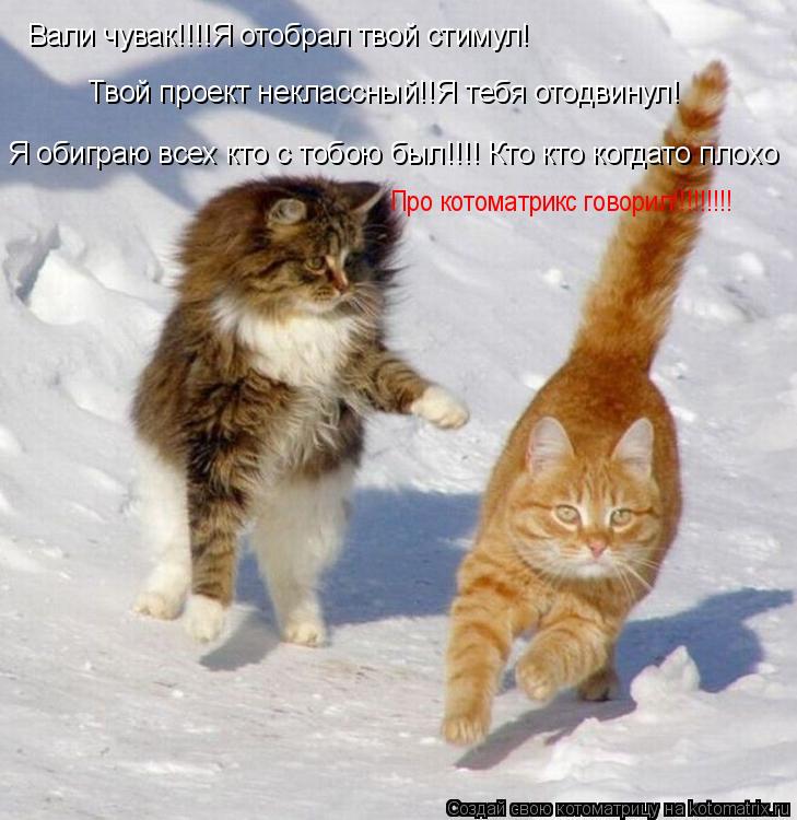 Котоматрица: Вали чувак!!!!Я отобрал твой стимул! Твой проект неклассный!!Я тебя отодвинул! Я обиграю всех кто с тобою был!!!! Кто кто когдато плохо Про кото