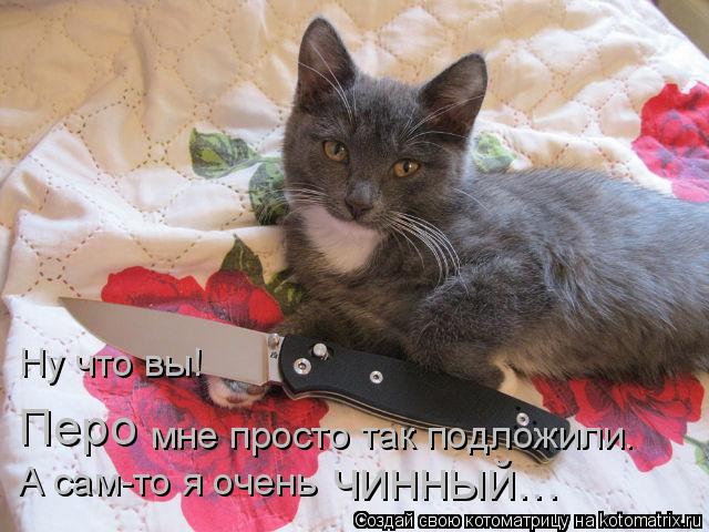 Ну что вы! Перо мне просто так подложили. А сам-то я очень чинный...... Котоматрица: Ну что вы! Перо мне просто так подложили. А сам-то я очень чинный...