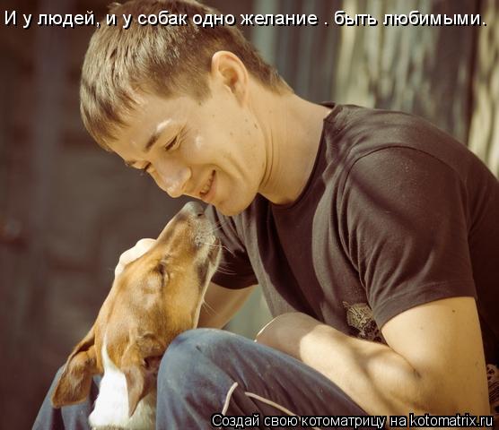 И у людей, и у собак одно желание — быть любимыми.... Котоматрица: И у людей, и у собак одно желание — быть любимыми.