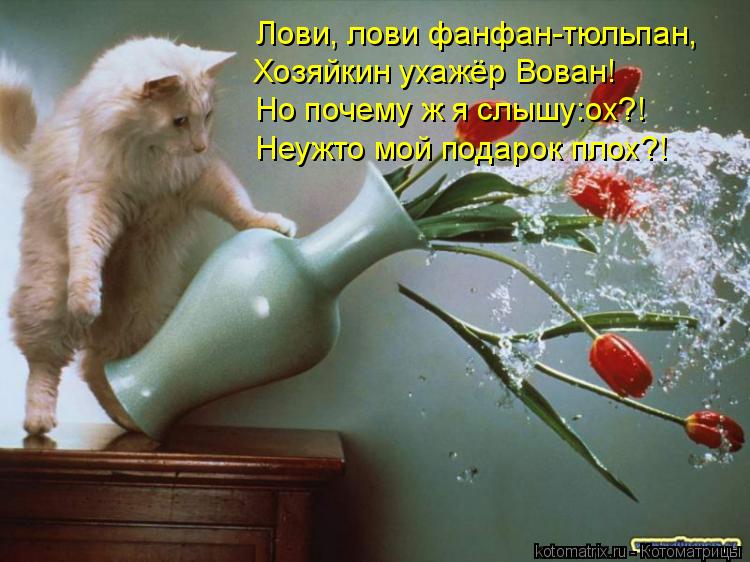 Лови, лови фанфан-тюльпан, Хозяйкин ухажёр Вован! Но почему ж я слышу:ох?! Неужто мой подарок плох?!... Котоматрица: Лови, лови фанфан-тюльпан, Хозяйкин ухажёр Вован! Но почему ж я слышу:ох?! Неужто мой подарок плох?!