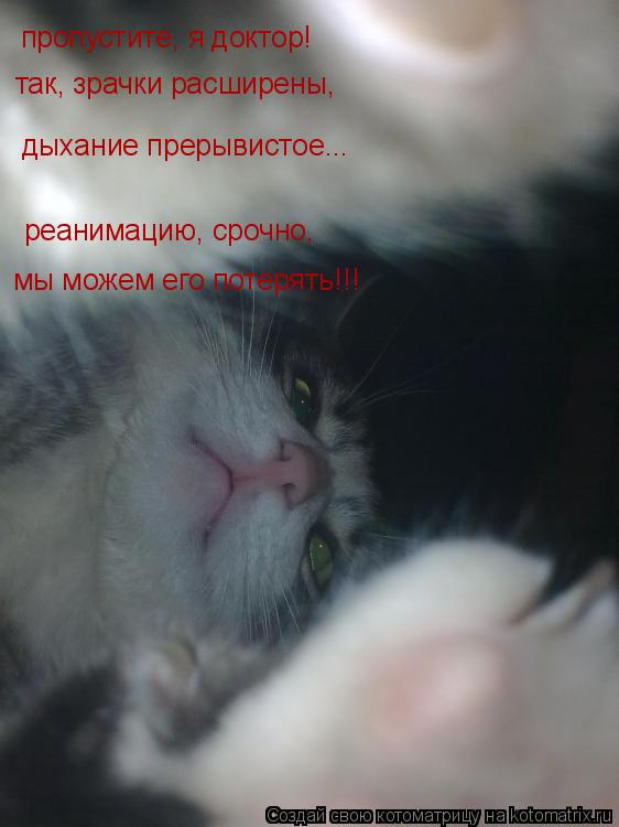 пропустите, я доктор! так, зрачки расширены, дыхание прерывистое... реанимацию, срочно, мы можем его... Котоматрица: пропустите, я доктор! так, зрачки расширены, дыхание прерывистое... реанимацию, срочно, мы можем его потерять!!!