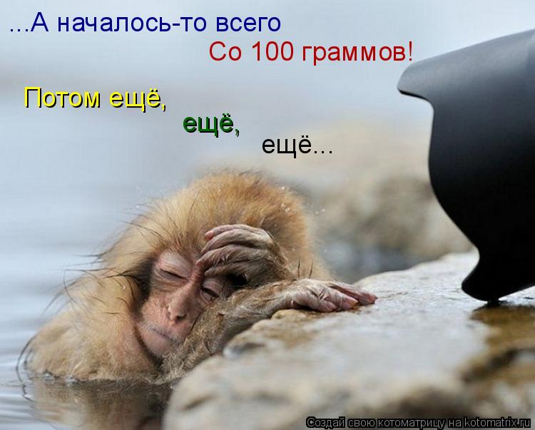 ...А началось-то всего Со 100 граммов! Потом ещё, ещё, ещё...... Котоматрица: ...А началось-то всего Со 100 граммов! Потом ещё, ещё, ещё...
