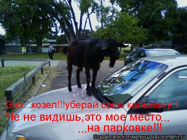 Че не видишь,это мое место на парковке!!! ... ... Эээ...козел!!!уберай свою калымагу!!... Котоматрица: Че не видишь,это мое место на парковке!!! ... ... Эээ...козел!!!уберай свою калымагу!!