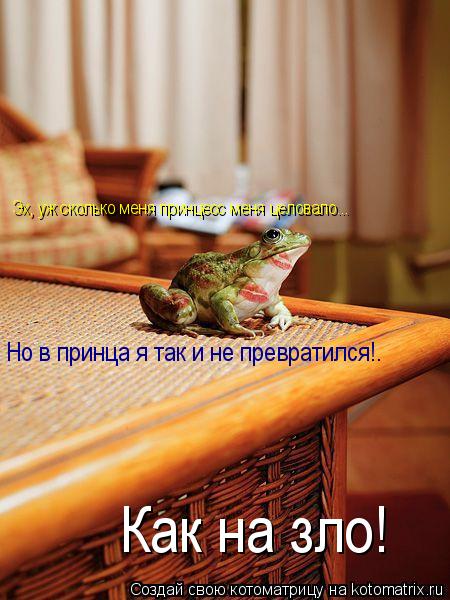 Эх, уж сколько меня принцесс меня целовало... Но в принца я так и не превратился!. Как на зло!... Котоматрица: Эх, уж сколько меня принцесс меня целовало... Но в принца я так и не превратился!. Как на зло!